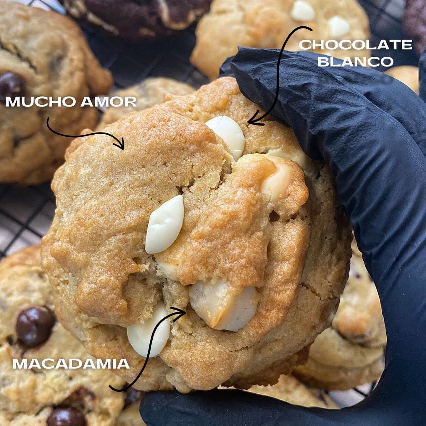Galleta Macadamia & Chocolate Blanco
